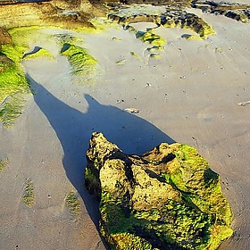 Lakeside beach - robertpaulyoung