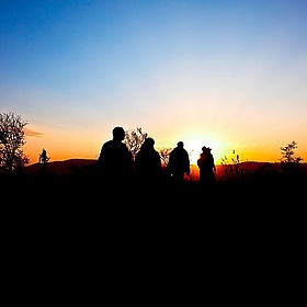 Serengeti Sunrise / Mencer no Serengeti - Noel Feans