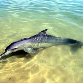 Western Australia - theboywiththethorninhisside