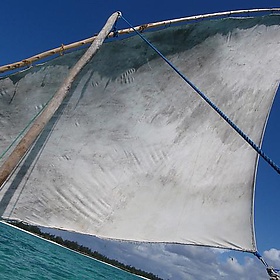 P8280007.JPG - Olivier Lejade