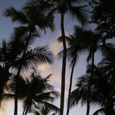Barbados
