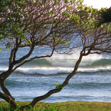Hawaii