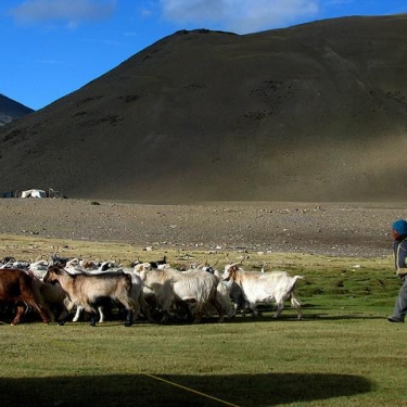 Ladakh