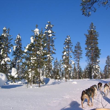 Lapland