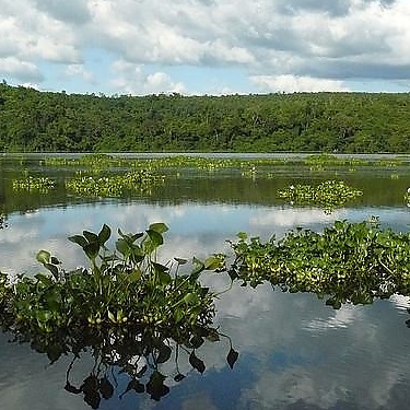 Madagascar
