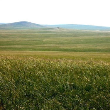 Mongolia