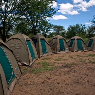 Serengeti
