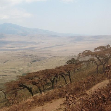 Serengeti