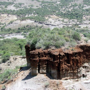 Serengeti