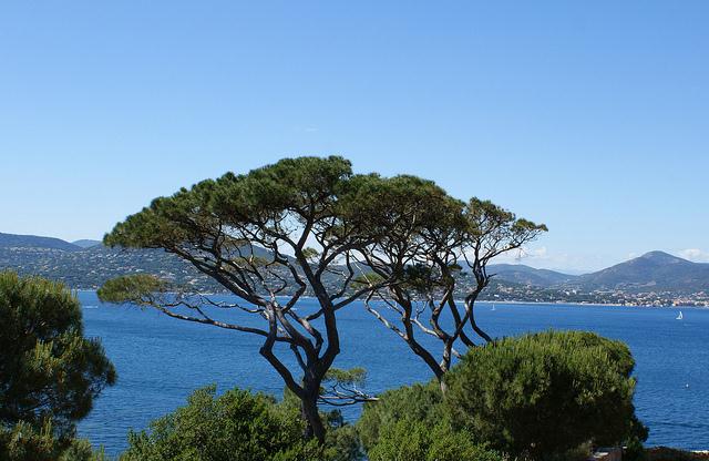 View from Citadel, St Tropez