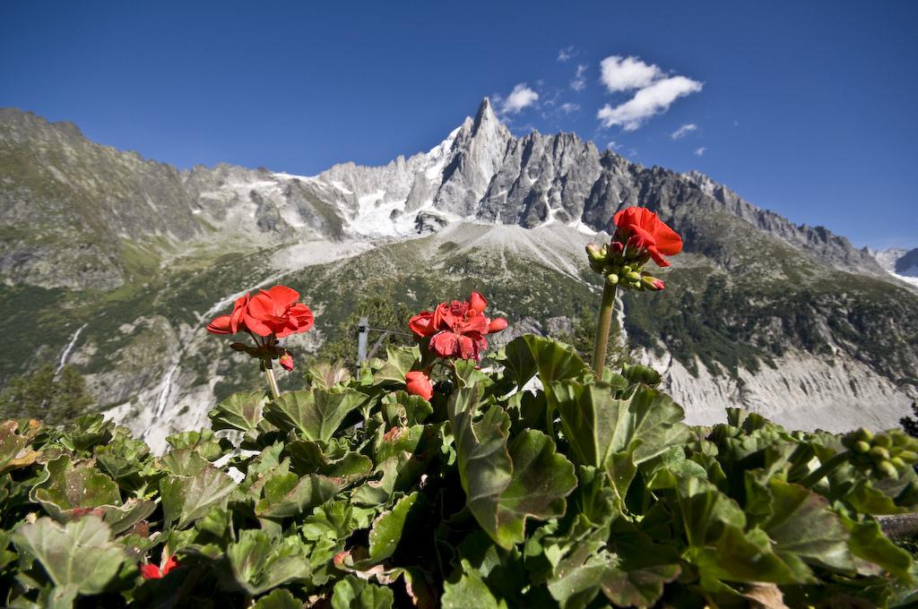 Chamonix - Hike along Montenvers to Mer de Glace