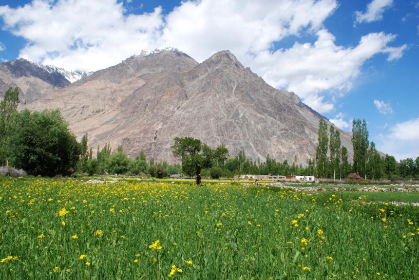 Nubra