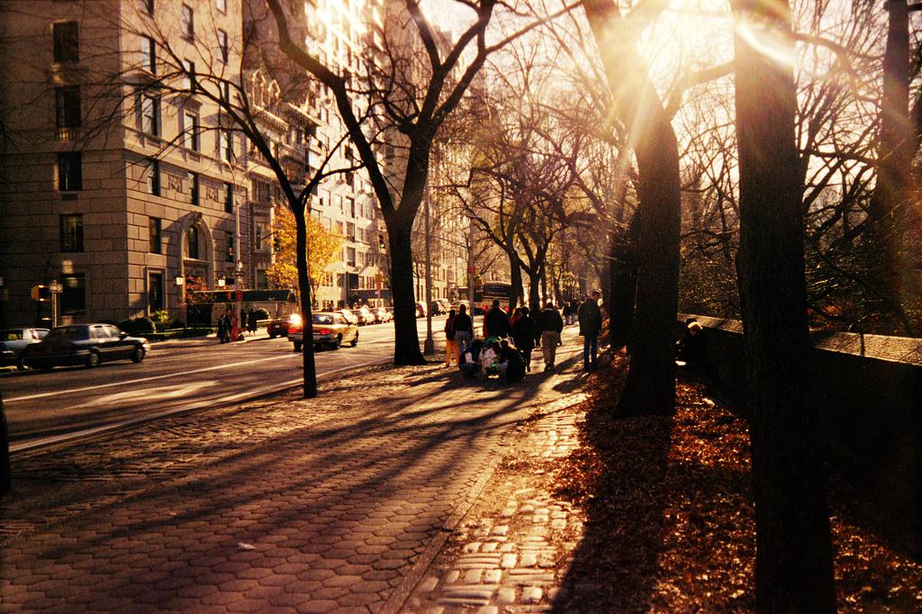 New York City Street at Thanksgiving