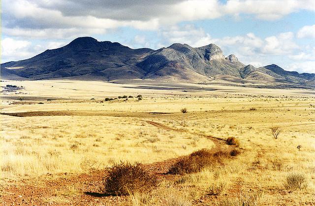 Near Patagonia, Arizona 1990