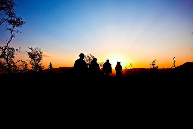 Serengeti Sunrise / Mencer no Serengeti