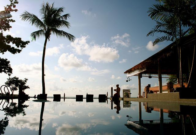 peaceful reflection