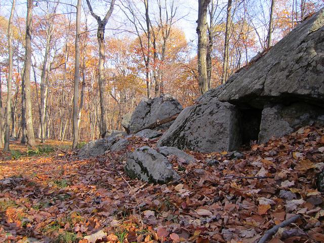 Turkey Mountain Hike
