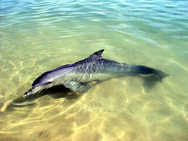 Western Australia